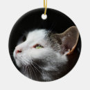 Recherche de tabby cat ornements Chats