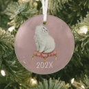 Recherche de persan ornements Noël