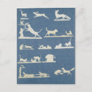 Recherche de jeu de chats cartes postales Chien