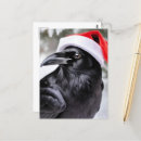 Recherche de oiseaux de noël cartes postales Fête