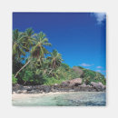 Recherche de mahe magnets Plage