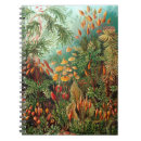 Recherche de natur Haeckel