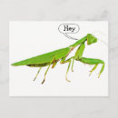 Recherche de giant posters Insecte