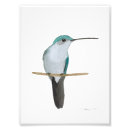 Recherche de rubis throated Vert