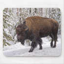 Recherche de bison tapis souris Animal