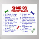Recherche de shar posters Chien