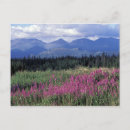 Recherche de environment cartes postales North america