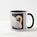 Recherche de olor de cygnus Cygne muet