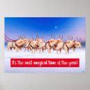 Recherche de renne vacances posters Animal