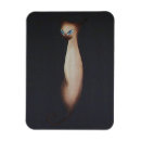 Recherche de chats siamois magnets Animal