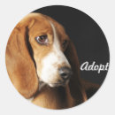 Recherche de bassets autocollants Dog