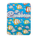 Recherche de poissons tropicaux magnets Pour tous