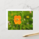 Recherche de orange verte cartes postales Botanique