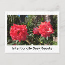 Recherche de recherche cartes postales Nature
