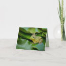 Recherche de couronne princesse vœux cartes Prince de grenouille