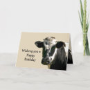 Recherche de vache anniversaire cartes Holstein