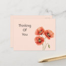 Recherche de pavots rouges cartes postales Pour tous