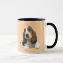 Recherche de bassets tasses Chiot