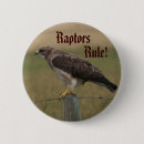 Recherche de oiseau de proie badges Nature