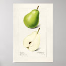 Recherche de feuille verte posters Fruit