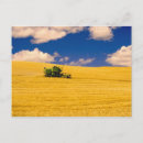 Recherche de cultivateur cartes postales Agricole