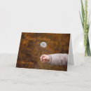 Recherche de pissenlit anniversaire cartes Floral