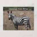 Recherche de zebra cartes postales Paysage