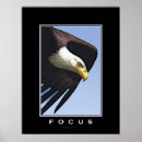 Recherche de énorme posters Aigle