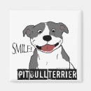 Recherche de taureau de pitt Apbt