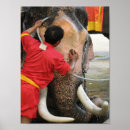 Recherche de éléphant asiatique posters Thaïlande