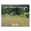 Recherche de le texas photographie Fleur sauvage