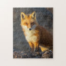 Recherche de red fox puzzles Mignon