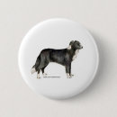 Recherche de pub badges Chiot