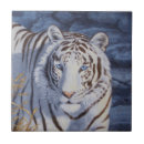 Recherche de tigre blanc carreaux Faune