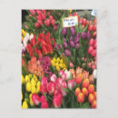 Recherche de photos de tulipe Floral