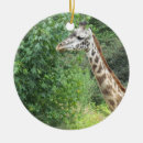Recherche de girafe ornements Toute personne