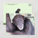 Recherche de chimpanzés cartes postales Chillon
