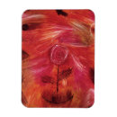 Recherche de rose vent magnets Fleur