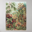 Recherche de botanique antique art Esthétique cottagecore