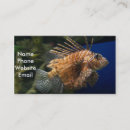 Recherche de aquarium poissons cartes visite Poissons de mer