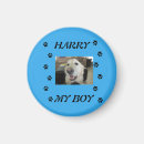 Recherche de animaux domestiques magnets Pattes