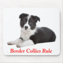 Recherche de colons tapis souris Collie