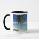 Recherche de bora bora tasses Été
