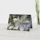 Recherche de fleuri toutes vœux cartes Toute occasion