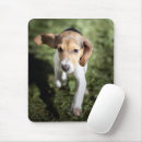 Recherche de chiot beagle tapis souris Animal