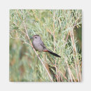 Recherche de ornithologie magnets Observation des oiseaux