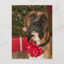 Recherche de humour chien cartes postales Un animal
