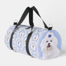 Recherche de maltais sacs Animal