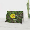 Recherche de pissenlit anniversaire cartes Nature