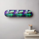 Recherche de alaska skateboards Feux du nord